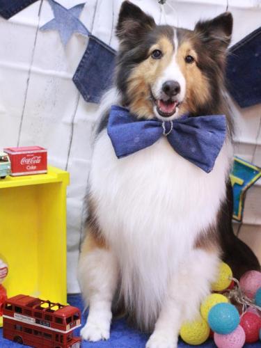 20230405ヒューゴくん